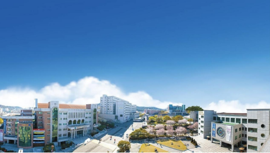大邱科学大学