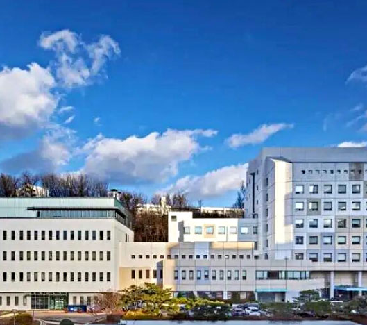 韩国加图立大学