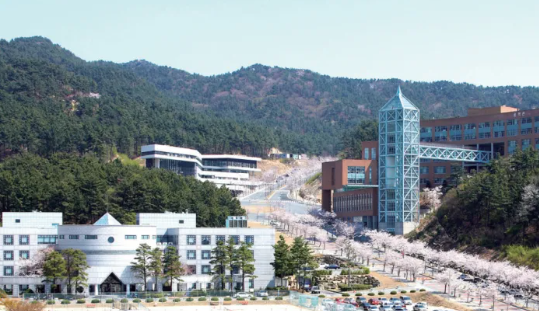 新罗大学