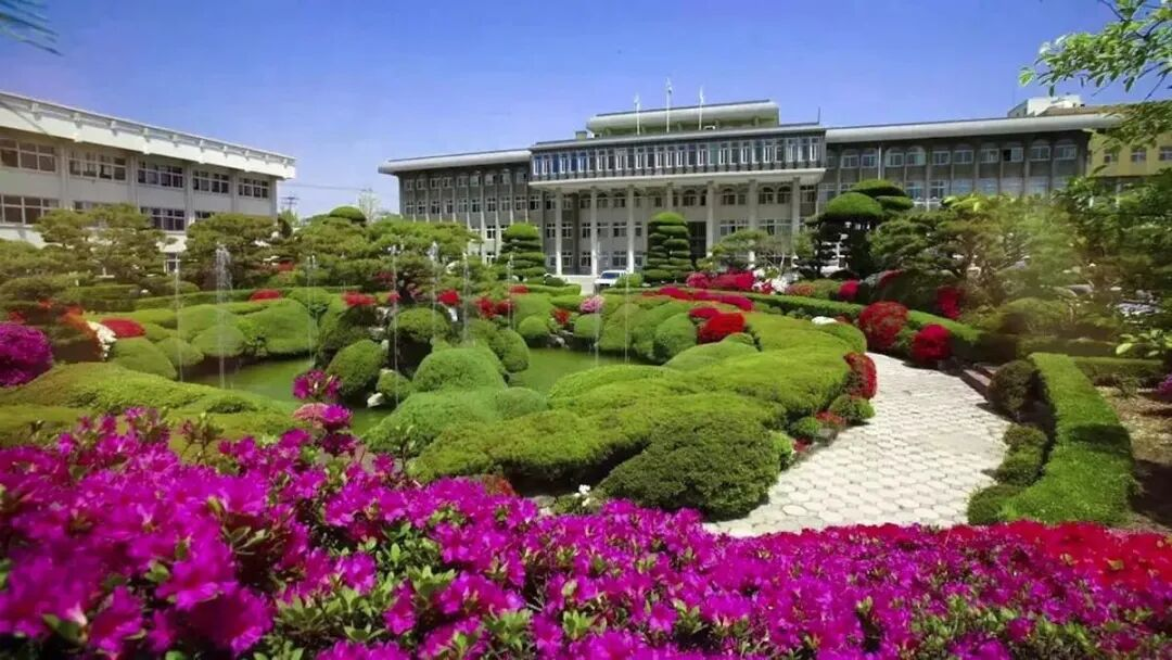 圆光大学