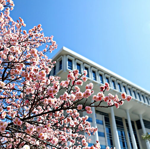 全南大学