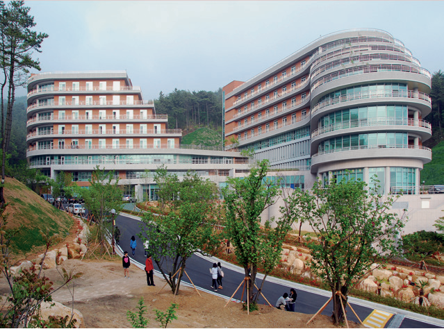 新罗大学