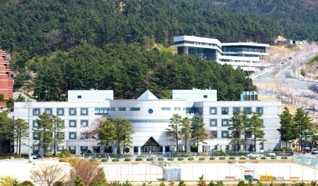新罗大学