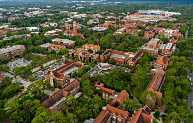 佛罗里达大学