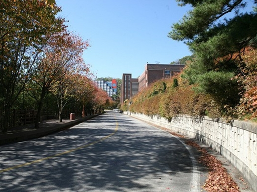 大元大学