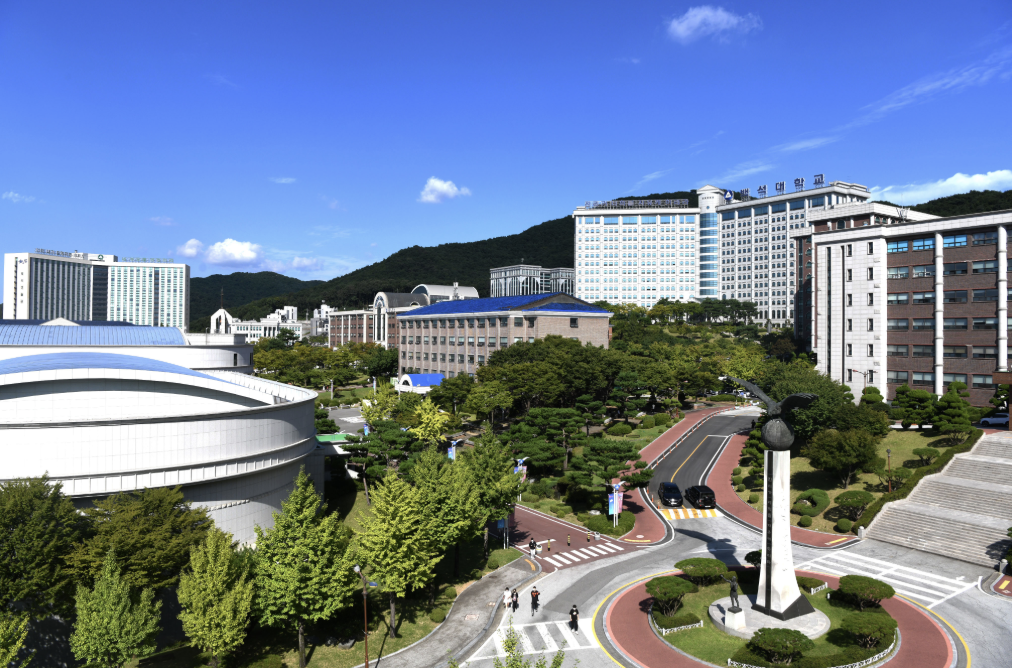白石大学