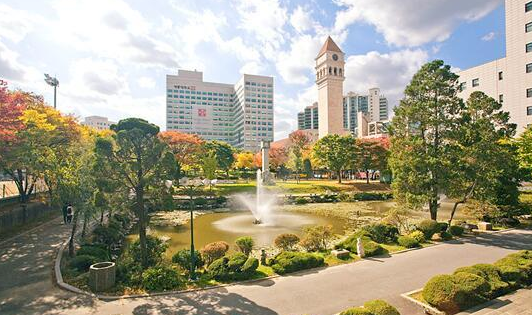 世宗大学