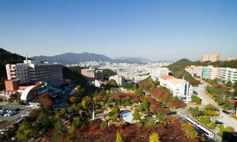 东义大学