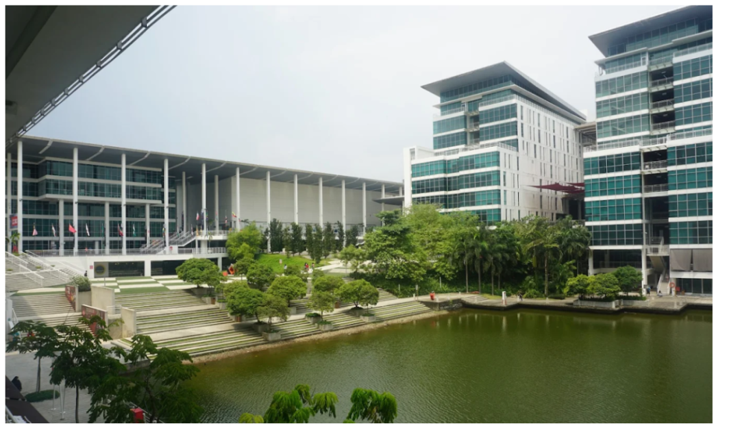 泰莱大学