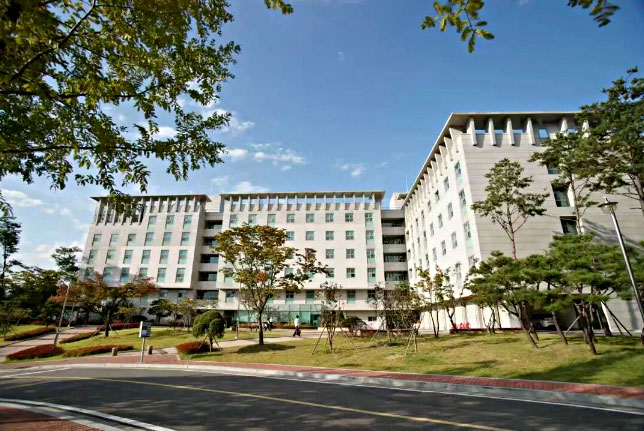 嘉泉大学