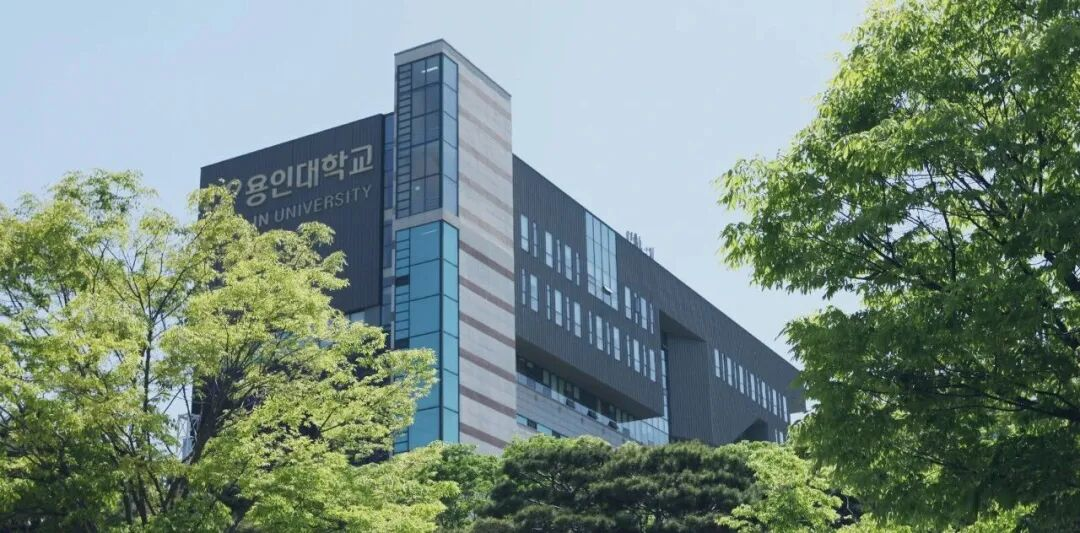 龙仁大学
