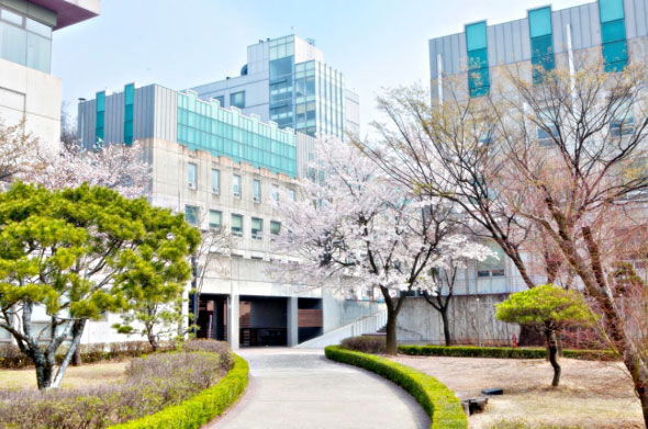 平泽大学