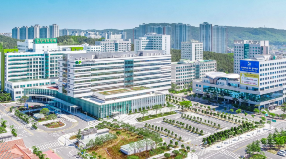 建阳大学