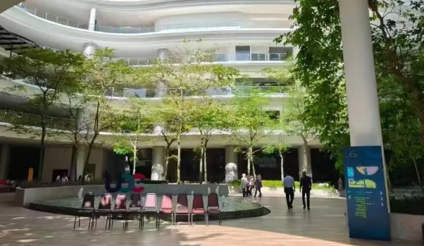 赛城大学