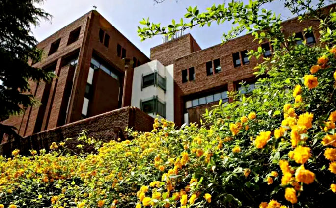 大邱大学