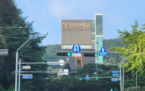 龙仁大学