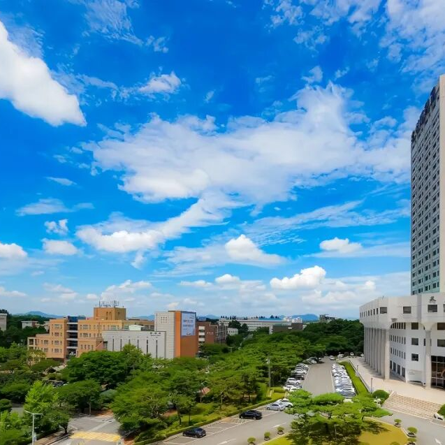 又石大学