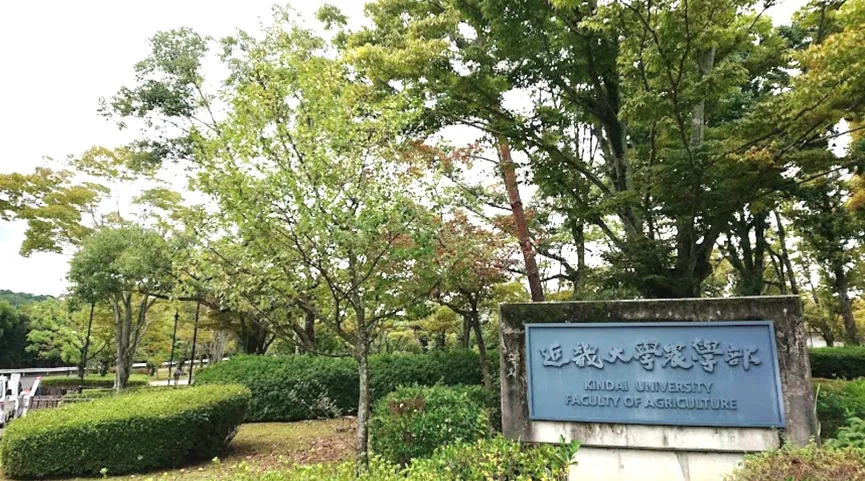 近畿大学
