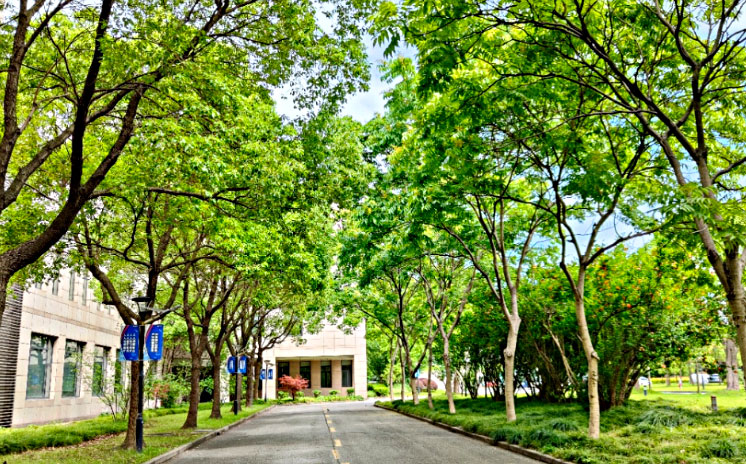 上海国际学校第三梯队国际高中有哪些？