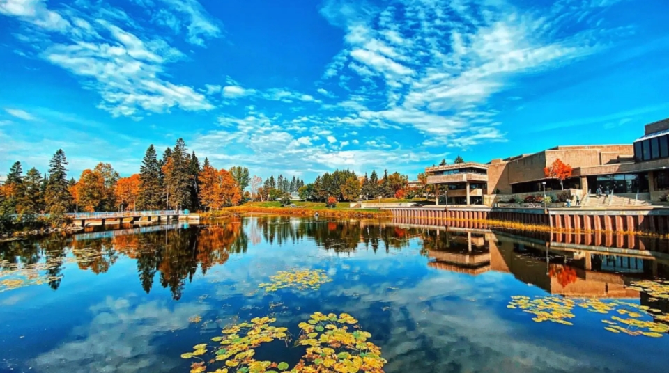 湖首大学