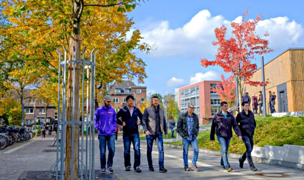杜伊斯堡-埃森大学