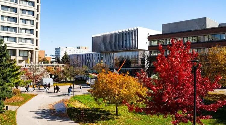 加拿大约克大学