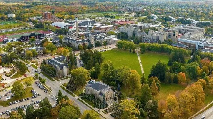 圭尔夫大学