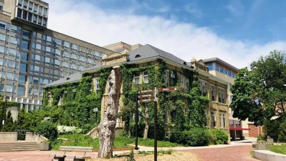 圭尔夫大学