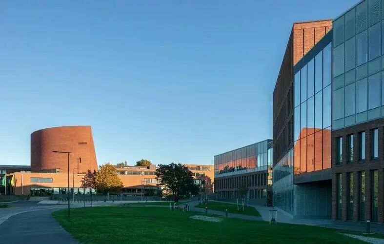 阿尔托大学