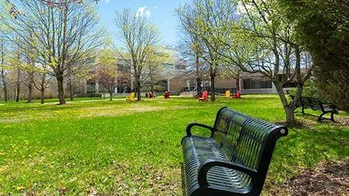新不伦瑞克大学|纽布伦斯威克大学
