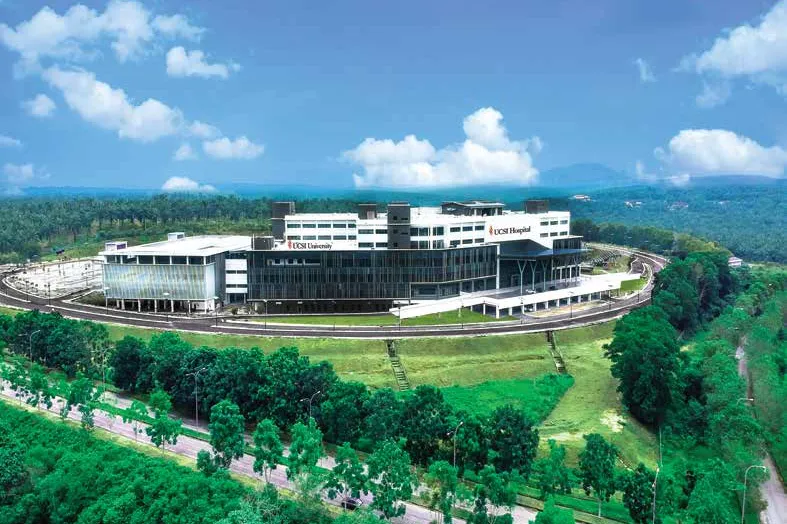思特雅大学