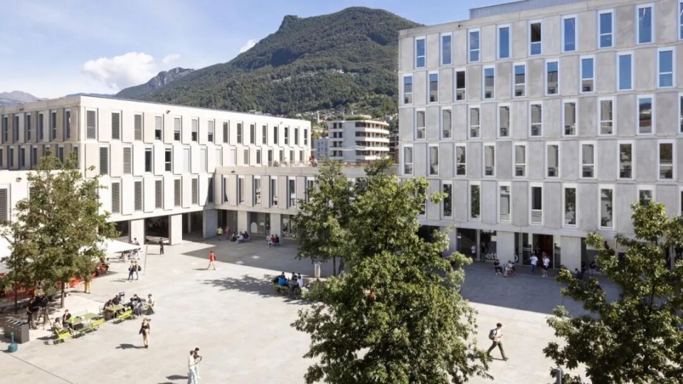 提契诺大学