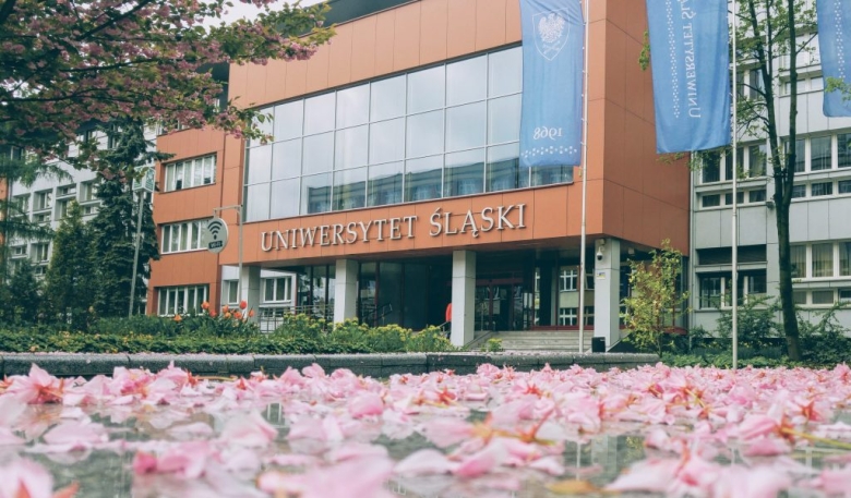 西里西亚技术大学