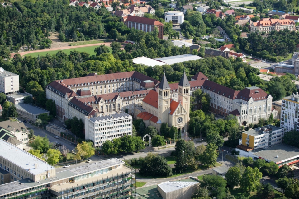 佩奇大学